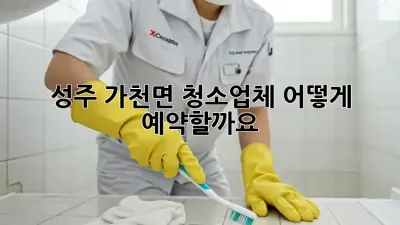 성주 가천면 청소업체, 어떻게 예약할까요?