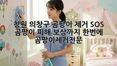 창원 의창구 곰팡이 제거 SOS🚨, 곰팡이 피해 보상까지 한번에! #곰팡이제거전문