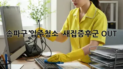 송파구 입주청소 ✨ 새집증후군 OUT! 🏡